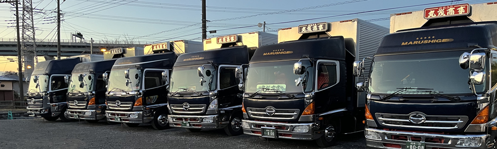 保有車両一覧